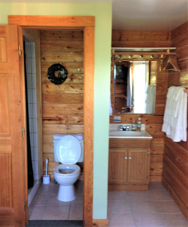 Homer Floatplane Lodge Camera foto
